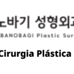 BANOBAGI Plastic Surgery (바노바기성형외과) – Info Cirurgia Plástica Coreana